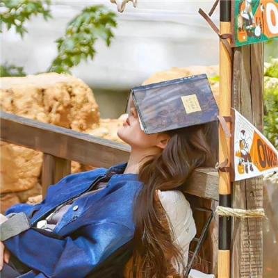 谁偷走蒙娜丽莎